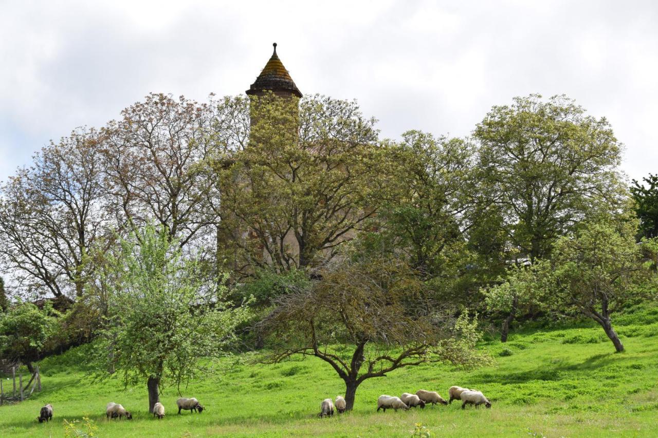 Casa Rural Galain Lizaso ภายนอก รูปภาพ