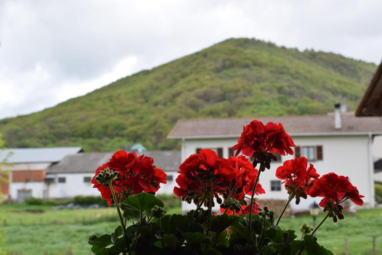 Casa Rural Galain Lizaso ภายนอก รูปภาพ